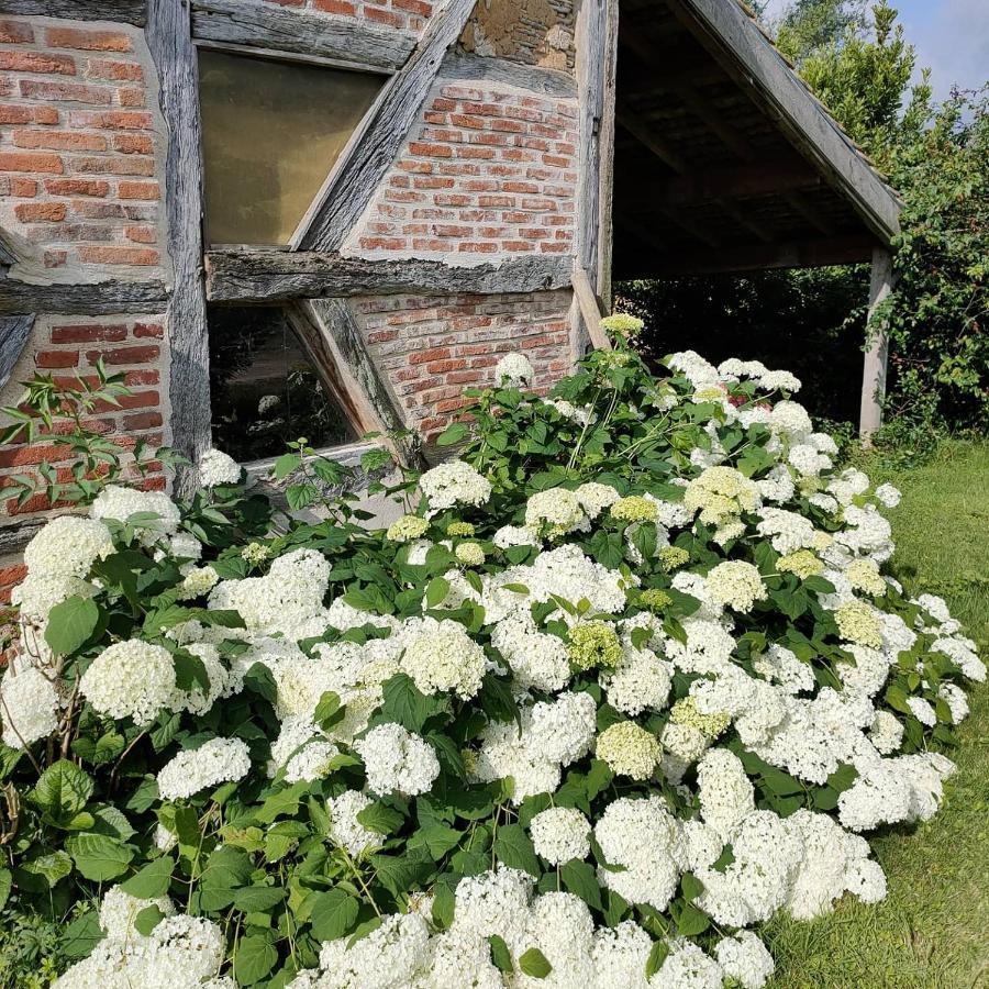 La Ferme Du Grand Faubourg Bed & Breakfast Pont-de-Vaux Exterior photo