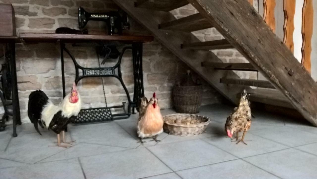 La Ferme Du Grand Faubourg Bed & Breakfast Pont-de-Vaux Exterior photo